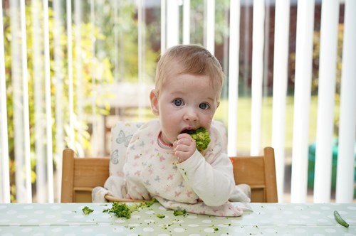 a baby starting to eat broccoli