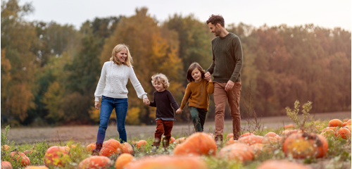 A family walking through a pumpkin patch