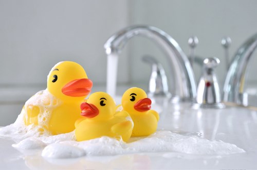 rubber ducks in a bath